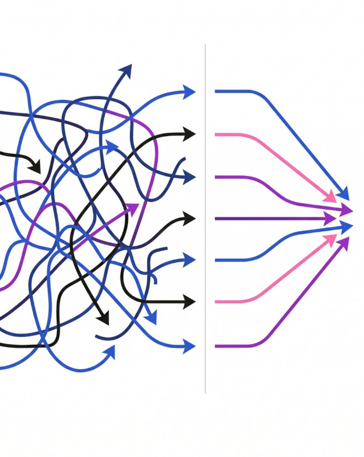 A tangled set of processes becoming clear, organized paths